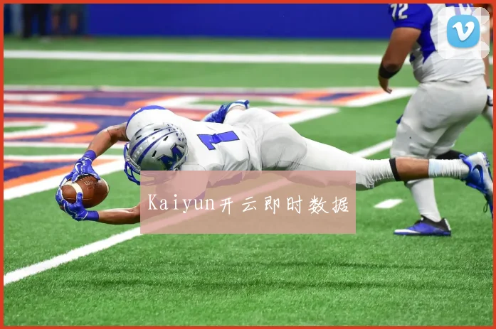 Kaiyun开云即时数据