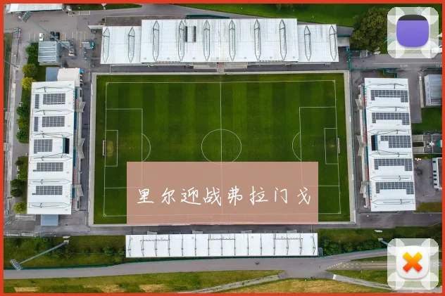里尔迎战弗拉门戈