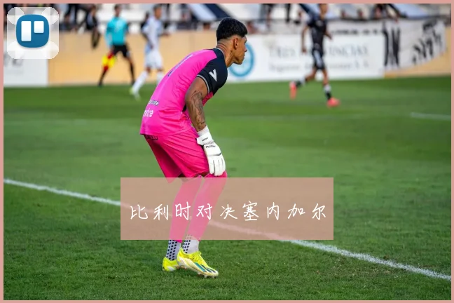 比利时对决塞内加尔