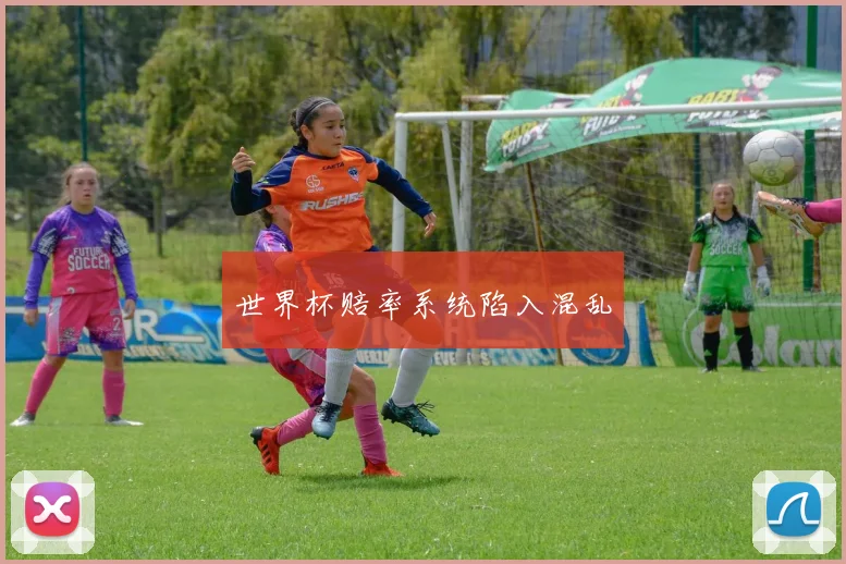 世界杯赔率系统陷入混乱