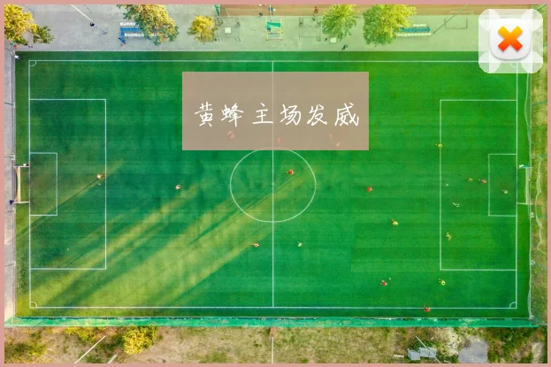 黄蜂主场发威