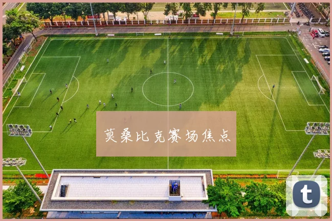 莫桑比克赛场焦点