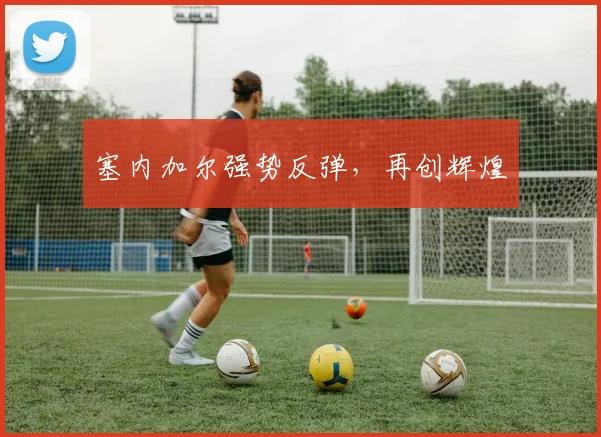 塞内加尔强势反弹，再创辉煌