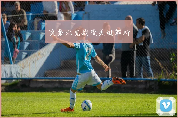 莫桑比克战役关键解析