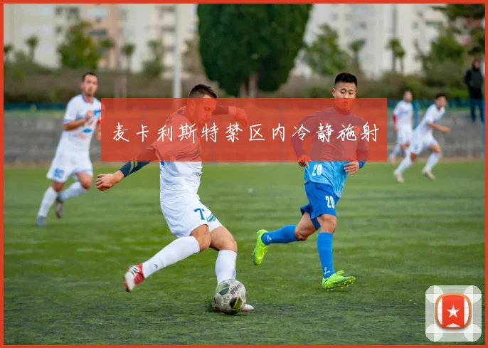 麦卡利斯特禁区内冷静施射