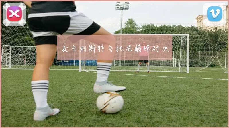 麦卡利斯特与托尼巅峰对决
