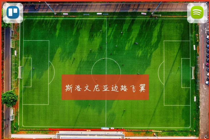 斯洛文尼亚边路飞翼