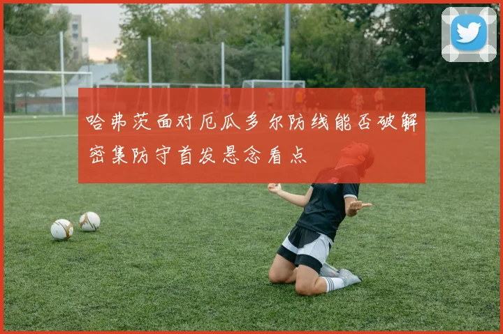 哈弗茨面对厄瓜多尔防线能否破解密集防守首发悬念看点