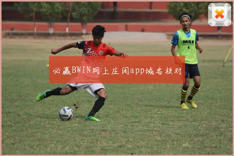必赢BWIN网上庄闲app域名核对