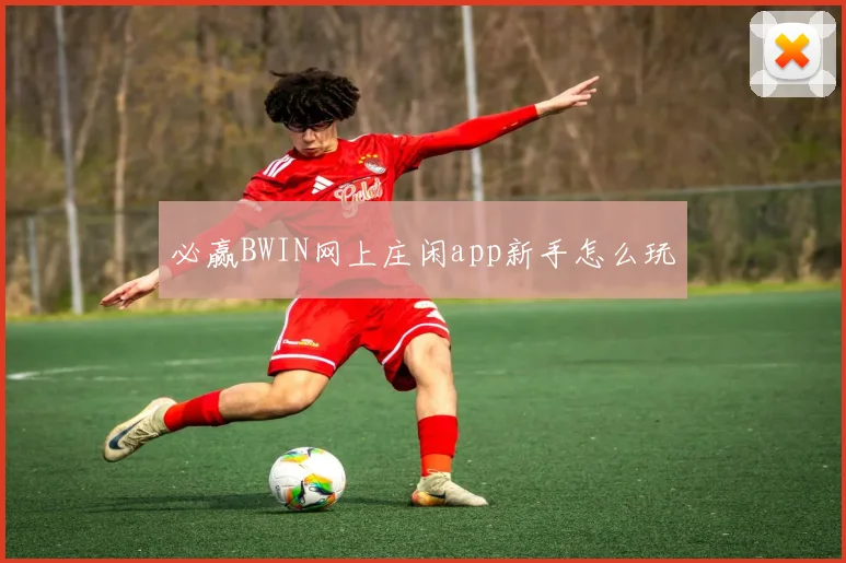 必赢BWIN网上庄闲app新手怎么玩