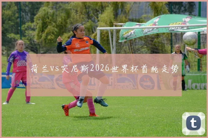 荷兰vs突尼斯2026世界杯首轮走势