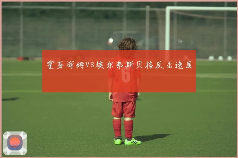 霍芬海姆vs埃尔弗斯贝格反击速度