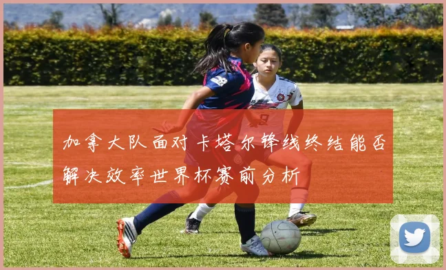 加拿大队面对卡塔尔锋线终结能否解决效率世界杯赛前分析