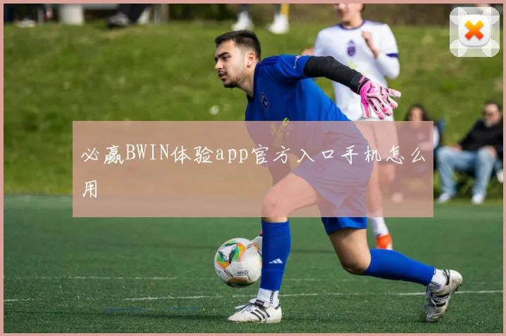 必赢BWIN体验app官方入口手机怎么用