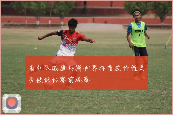 南非队威廉姆斯世界杯首发价值是否被低估赛前观察